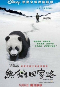 След панды (2009) смотреть онлайн в HD 1080 720
